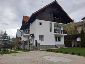 Casa Teomar Buşteni